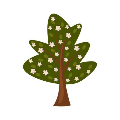 Spring blooming green tree. Green tree with white flowers. Apple tree or Bird Cherry tree. Springtime.