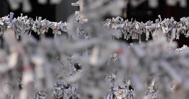 Oracles at Kanda shrine in Tokyo daytime copyspace video