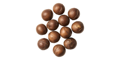 Macadamia nuts cluster isolated on transparent background png