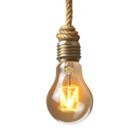light bulb hanging on transparent background. png
