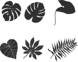 Set of tropical leaves silhouette illustration vector