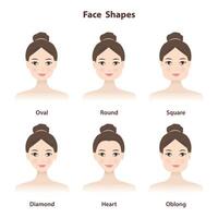 Diagram of basic face shapes illustration isolated on white background. The six most common face shape are oval, round, square, diamond, heart and oblong. Physical characteristic. Physiognomy. vector