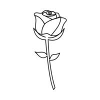 Rose continuous one-line art evokes a sense of romanticism, where a single line effortlessly forms the intricate shape of a rose. vector