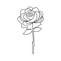 Rose continuous one-line art uses minimalism to convey the complex beauty of a rose, symbolizing both strength and delicacy. vector