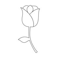 Rose continuous single-line art on a white board beautifully captures the graceful curves of a blooming rose, using a single flowing line against the simplicity of a blank canvas vector