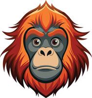 Exotic Orangutan Head Available on EPS File vector