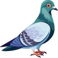 Peaceful Pigeon Available on EPS File vector