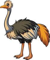 Fierce Ostrich Available on EPS File vector