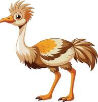 Graceful Ostrich Available on EPS File vector