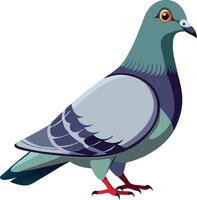 Graceful Pigeon Available on EPS File vector