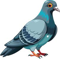 Fascinating Pigeon Available on EPS File vector