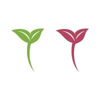 Set Leaf Growth Logo Template Illustration Design. EPS 10. vector