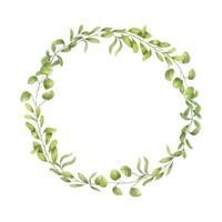 Watercolor bright young spring greenery wreath isolated background. Round frame with green leaves. Floral illustration for textile, cosmetic product design, greeting card, Empty space for text vector