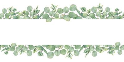 Watercolor evergreen tropical eucalyptus branches border isolated background. Silver dollar foliage horizontal frame with empty space for text. Floral illustration for stationary, textile, invitation vector