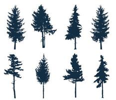 Silhouettes of pine trees in different shapes, symbolizing the beauty of evergreen nature. Ideal for forest, nature, and adventure-themed designs vector