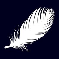 Detailed white feather floating against a dark background, representing lightness, spirituality, purity, and ethereal beauty. A timeless symbol of freedom, dreams, and celestial connection vector