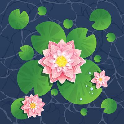 Lotus flowers floating on a calm pond, surrounded by green lily pads. Symbolizing peace, purity, and spiritual awakening. Perfect for relaxation and nature-themed designs