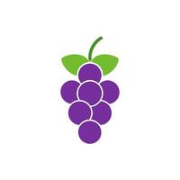 Illustration of a Bunch of Purple Grapes with Green Leaves and Stem on a White Background vector