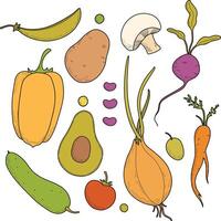 Set of colored vegetables, menu design, vegetarians, nutritionists. Onions, eggplants, tomatoes, peas, beans, carrots, radishes, peppers, potatoes, champignons, broccoli, beans. Hand drawing vector