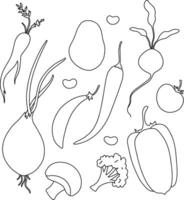 Set of vegetables, linear illustrations hand drawn. Eggplant, pepper, onion, champignon, beetroot, cucumber, carrot. vector