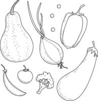 Vegetables set, hand drawn linear illustrations, graphics. Eggplant, pepper, onion, champignon, beet, cucumber, carrot, broccoli. vector