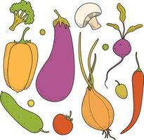 Set of colored vegetables, menu design, vegetarians, nutritionists. Onions, eggplants, tomatoes, peas, beans, carrots, radishes, peppers, champignons, broccoli, beans. Hand drawing vector