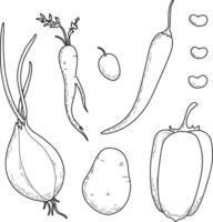 Vegetables set, hand drawn linear illustrations, graphics. Eggplant, pepper, onion, champignon, beetroot, cucumber, carrot. vector