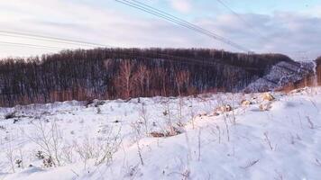 A serene winter scene shows a snowcovered path winding through a tranquil landscape of bare trees, softly lit by the winter sun, ideal for peaceful reflection and contemplation video