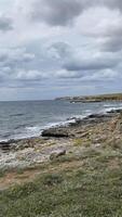 This serene coastal scene features a rugged shoreline, gentle waves, vibrant green grass, and a beautiful cloudy sky, creating a picturesque view for nature lovers to enjoy video