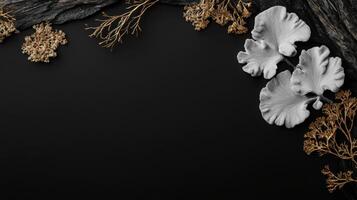 Xanthomendoza mendozae lichen in black and gold colors photo
