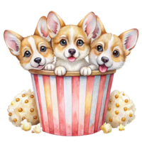 three corgis in a popcorn bucket with popcorn png