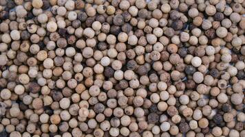 Aromatic and fresh white pepper, texture background photo