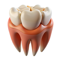 3D image of a molar tooth with visible pink gum tissue png