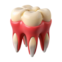visual of a tooth with pink gum coverage, png
