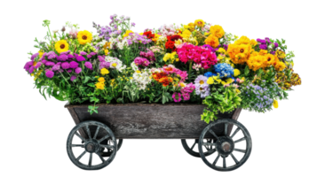 A vibrant wagon filled with assorted flowers showcasing bright colors in a garden setting. png