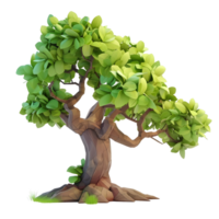 Tall Pine Tree with Sparse Branches Isolated on Transparent Background png