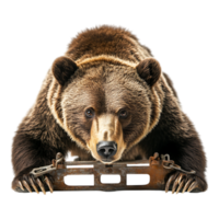 The Trap Against Transparent Background for Thriller, Mystery, or Suspense Design Projects png