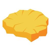 Slice of pineapple showing its texture and vivid color vector
