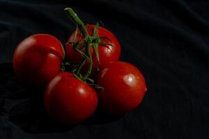 Four red ripe tomatoes on one green branch on a black table photo