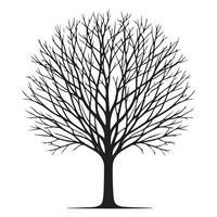 Detailed Silhouette of a Leafless Tree in Winter Setting vector