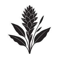 Detailed Silhouette of a Single Ginger Flower vector