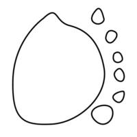 A drawing of a lemon with a line drawn around it vector