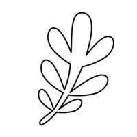A leaf outline drawing on a white background vector