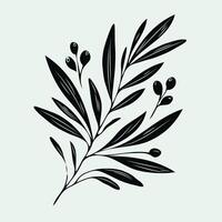 Olive branch with leaves and berries. Black and white illustration. A wreath with a green leaves and a symbol for the winner of the contest. vector