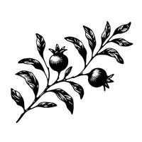 Hand drawn black and white line illustration of including various elements such as branch with leaves and flowers vector