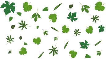 Abstract green leaves spring, summer background with different shapes leaves flying, falling. Overlay, banner, cover vector