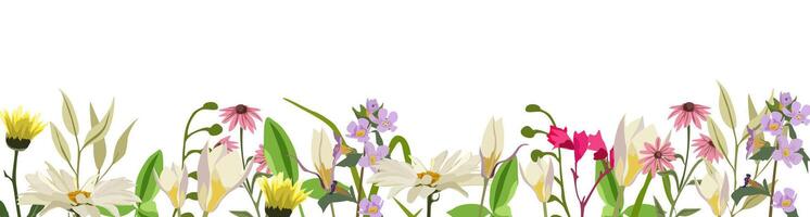 Floral banner, border, backdrop, overlay with gorgeous multicolored blooming wild flowers and leaves vector