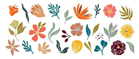 Set of hand drawn floral design elements. Exotic jungle leaves, flowers and algae. Abstract contemporary modern trendy illustrations isolated on white background. Digital stickers. vector