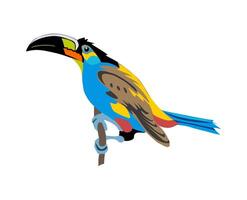 Toucan Exotic colorful bird realistic illustration Isolated On White Background. Black-feathered tucan with large yellow beak. Tropical bird sitting on tree branch. Exotic animal vector
