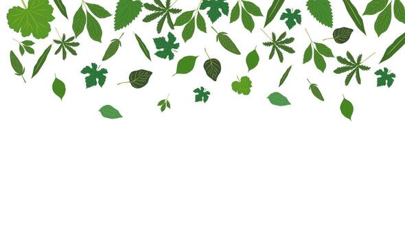 Abstract green leaves spring, summer background with different shapes leaves border and copy space for text. Overlay, banner, cover vector